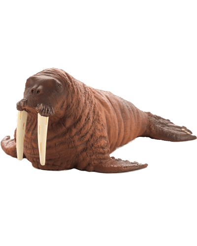 Фигурка Mojo Sealife - Морж