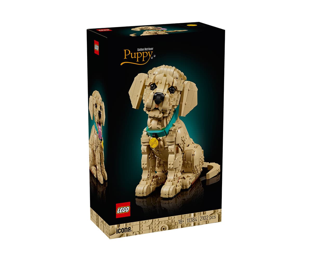 LEGO® Icons 11384 - Кученце голдън ретривър