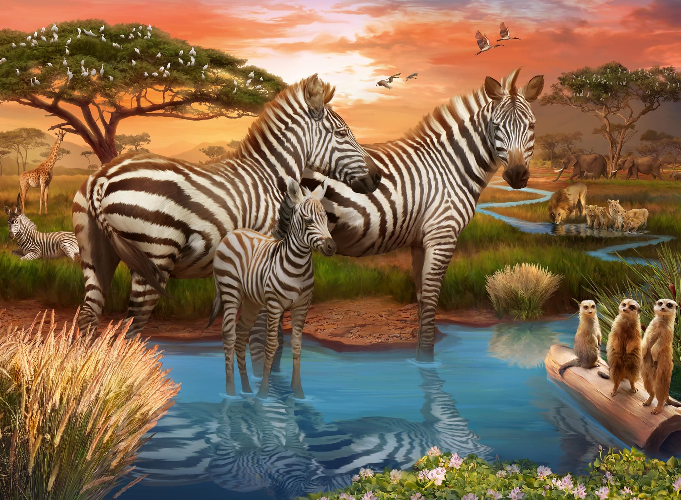 Пъзел Ravensburger 500 ел. - Зебри във водата