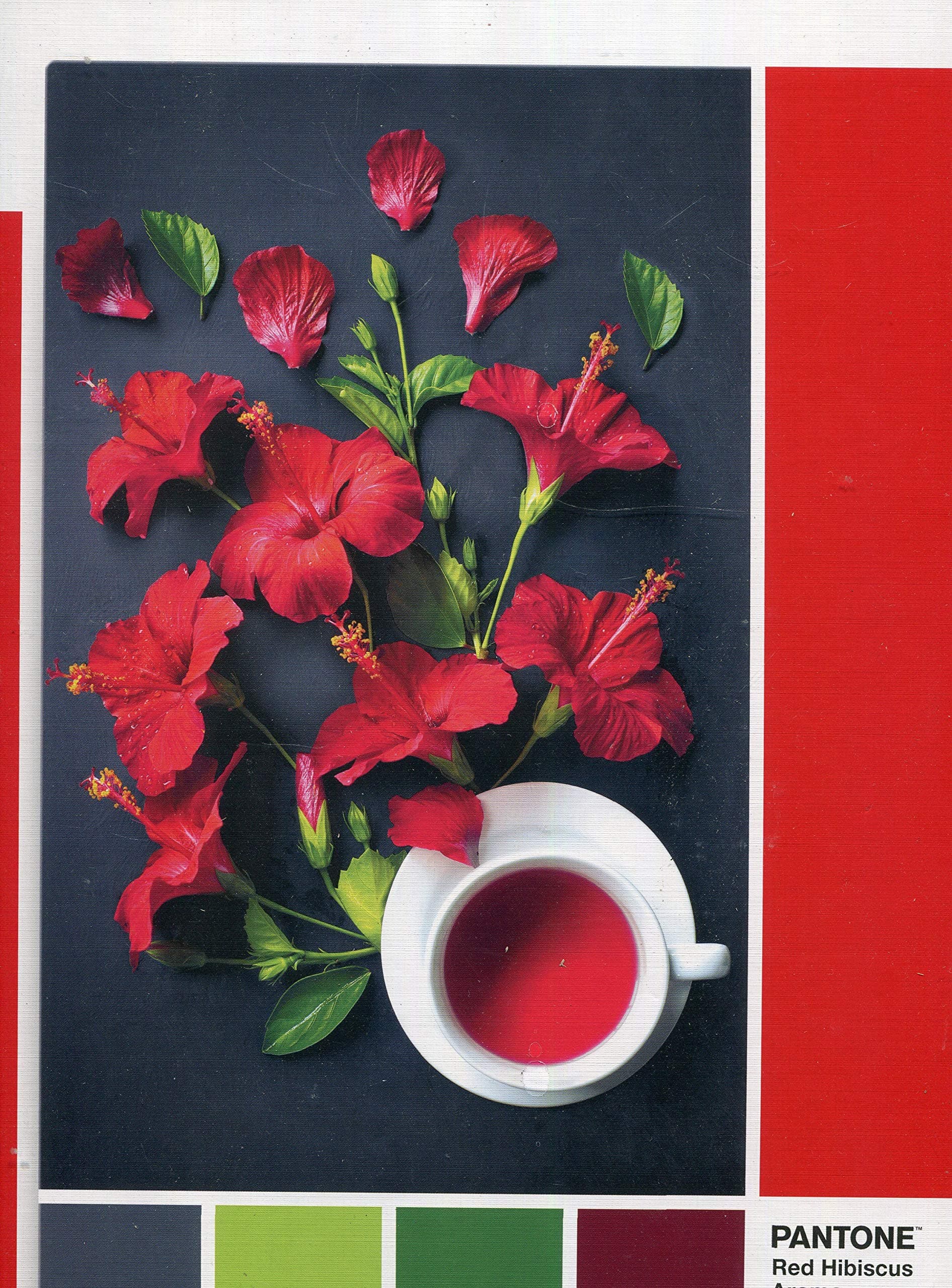 CLEMENTONI Пъзел 1000ч PANTONE GOJI BERRY