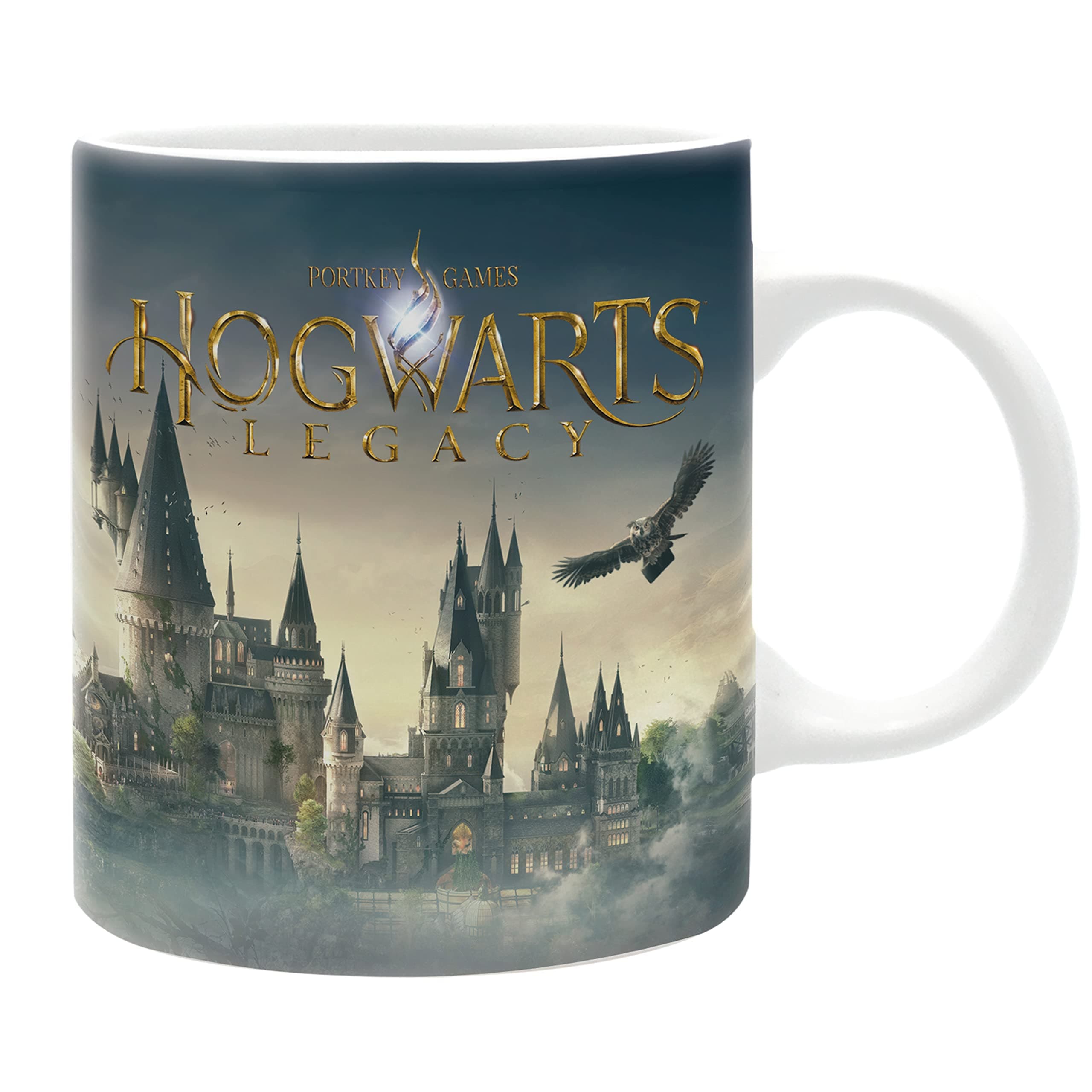Чаша ABYSTYLE HARRY POTTER, Hogwarts Legacy Castle, 320 ml