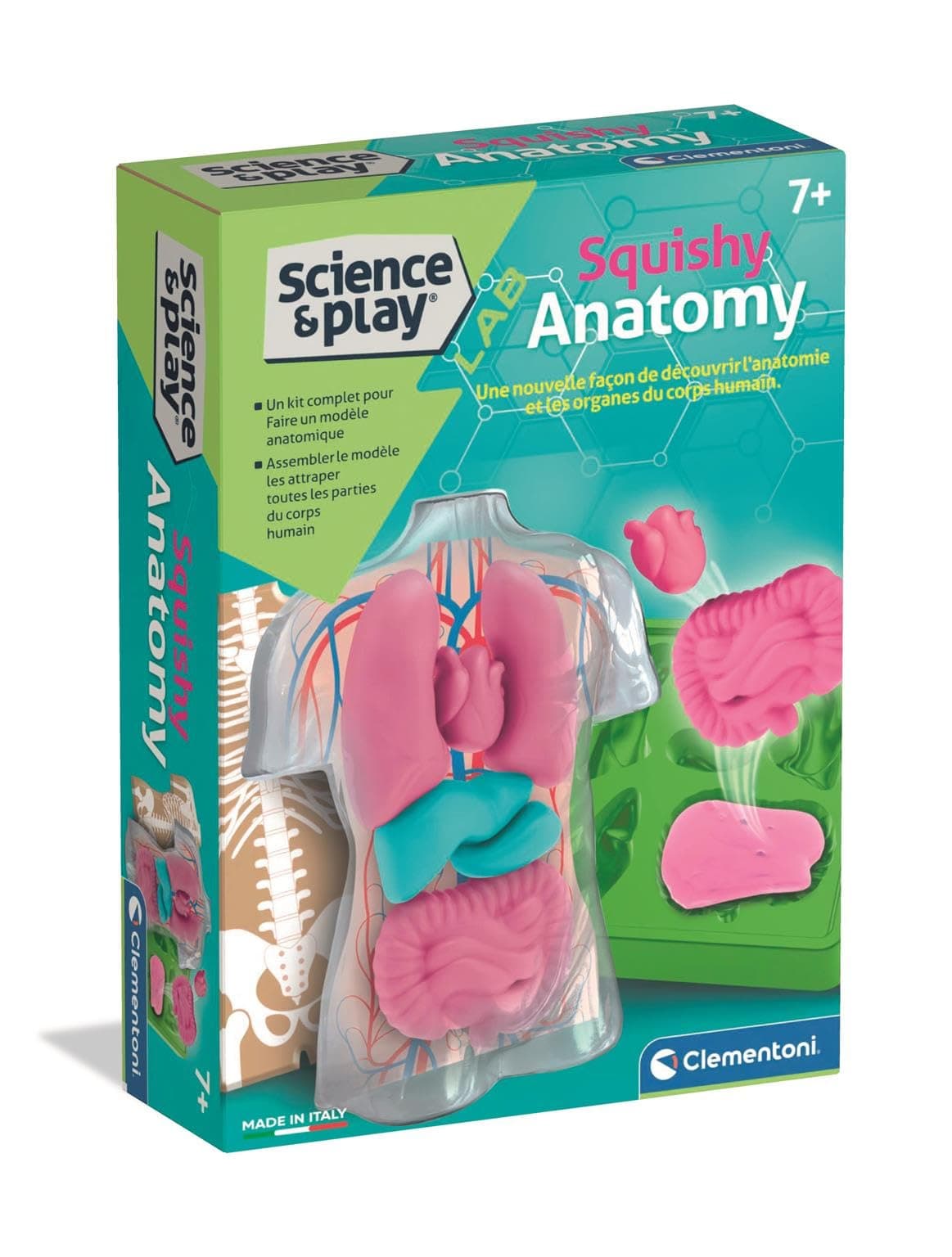 CLEMENTONI SCIENCE PLAY LAB Squishy Анатомия