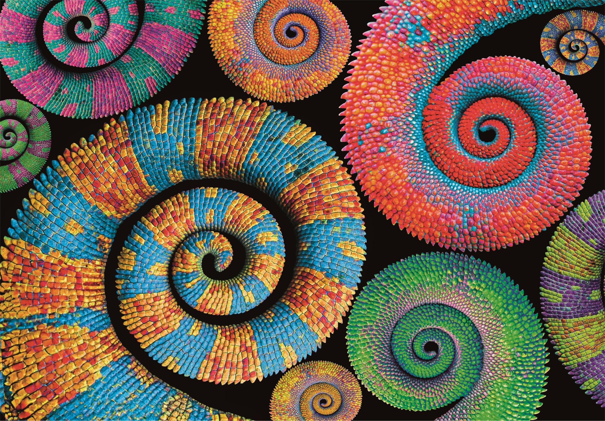 CLEMENTONI 500ч. Пъзел Colorboom Curly Tails
