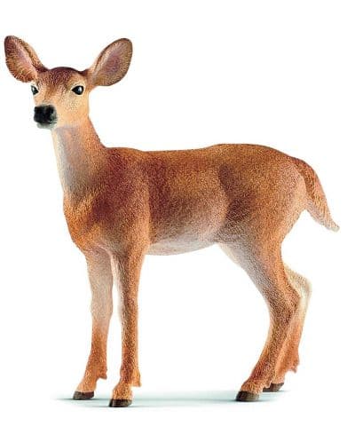Фигурка Schleich Wild Life America - Белоопашата кошута