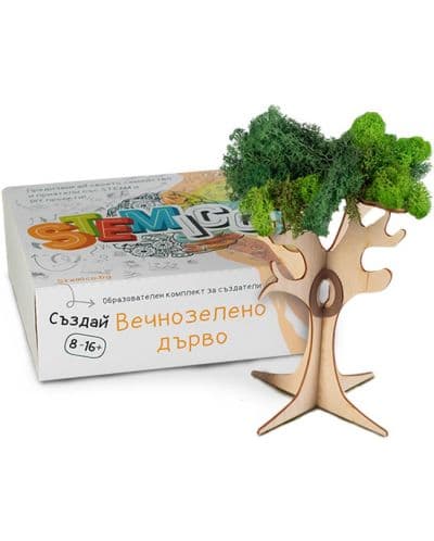 Образователен комплект Stemico - Вечнозелено дърво